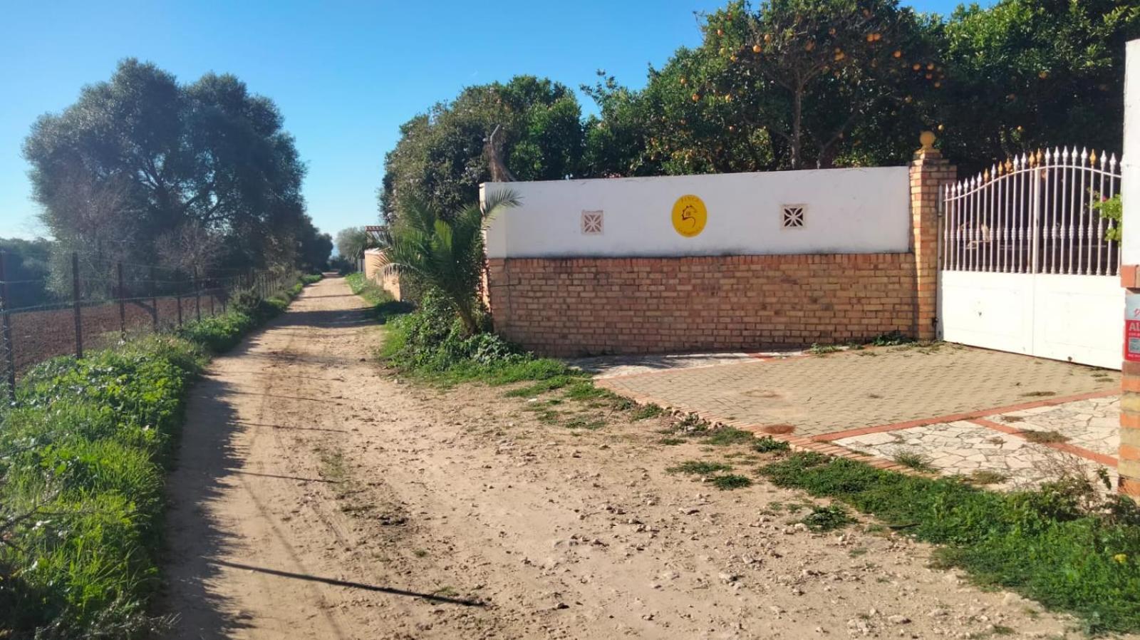 Finca La Parrilla Maison Piscine Nature Chevaux Arcos de la Frontera Ngoại thất bức ảnh
